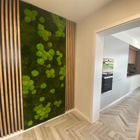 Apartment Gradus Dunajská Streda 外观 照片